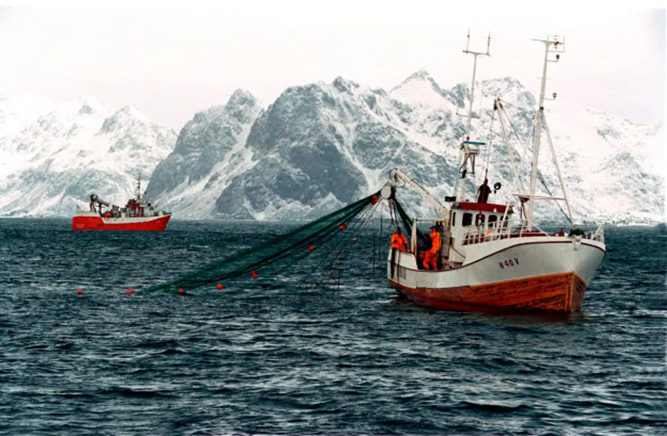 Méthodes de pêches